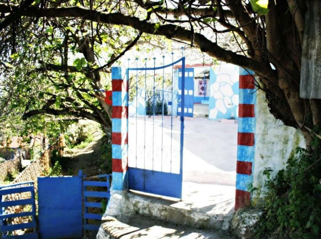 Nefzi Guest House Esterno foto